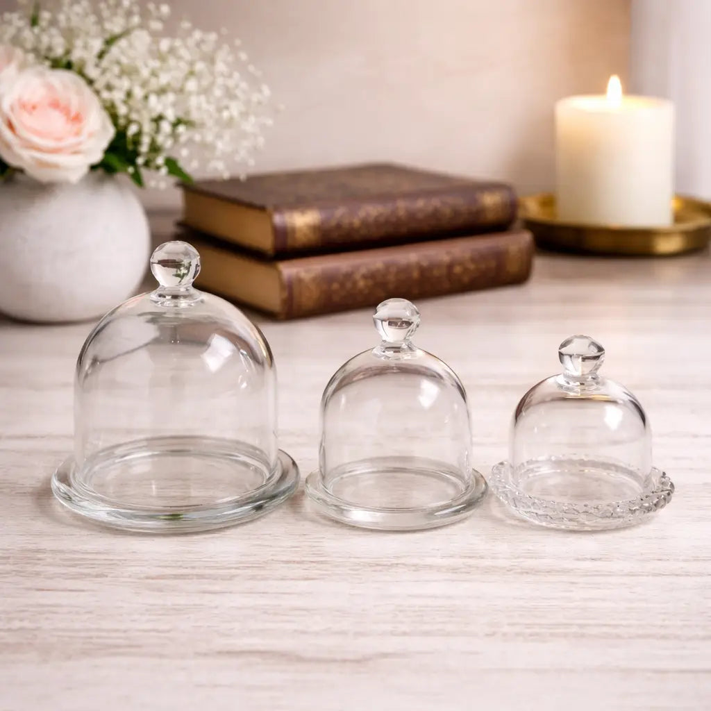 Glass Display Cloche