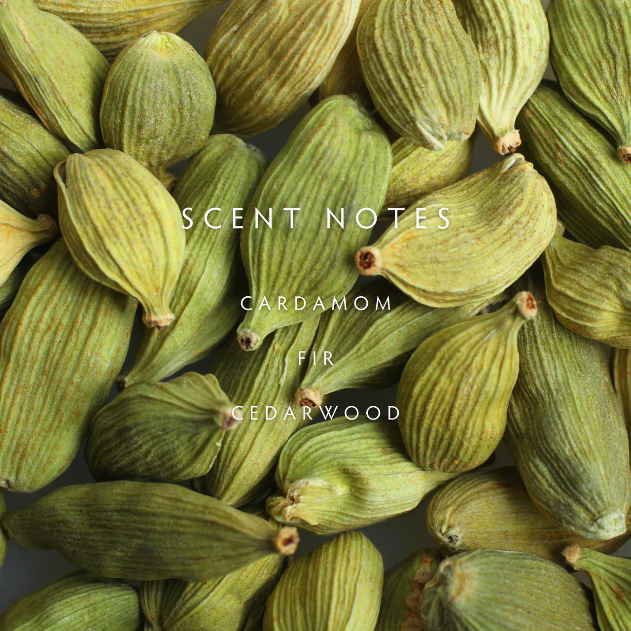 Cedar Cardamom Large Candle