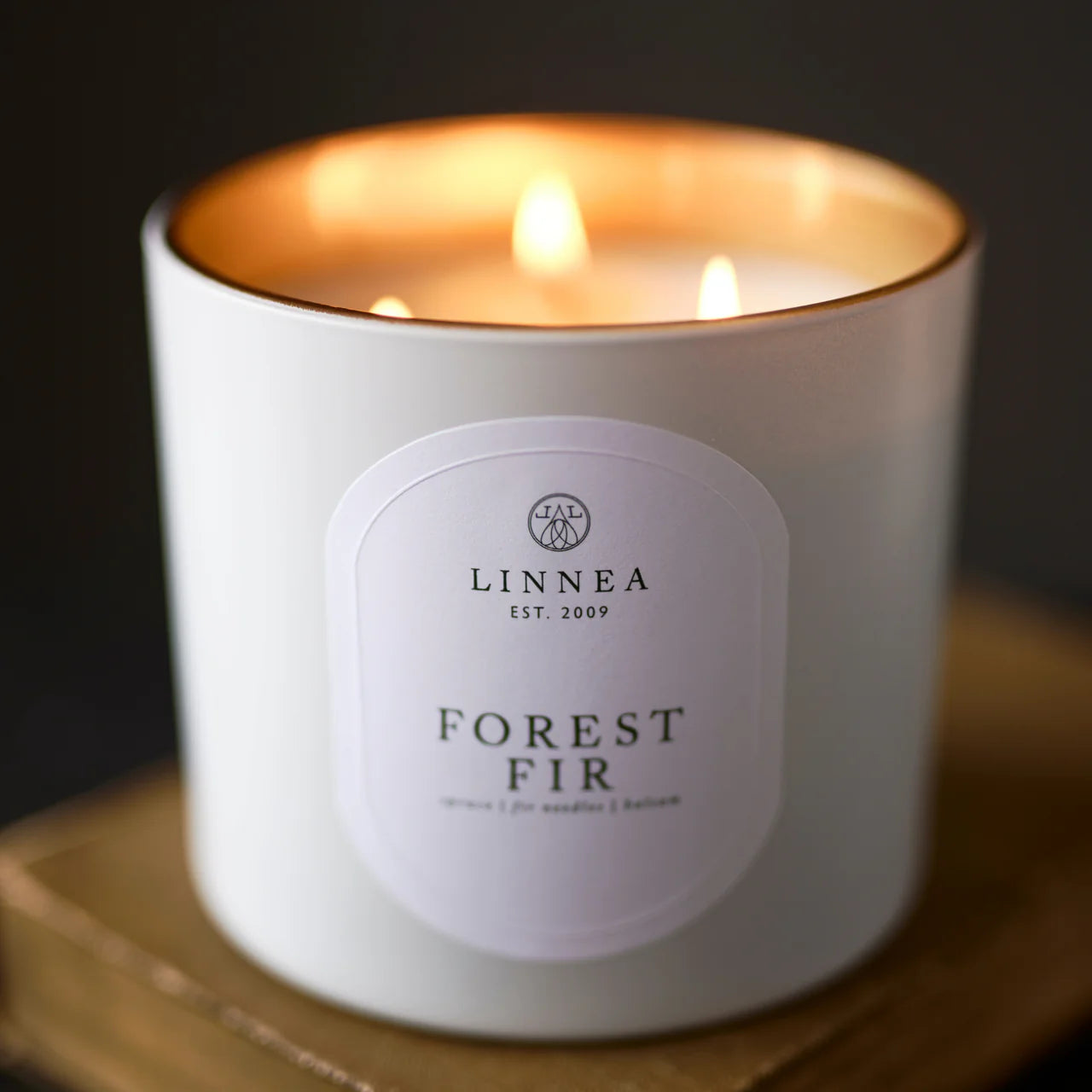 Forest Fir Candle