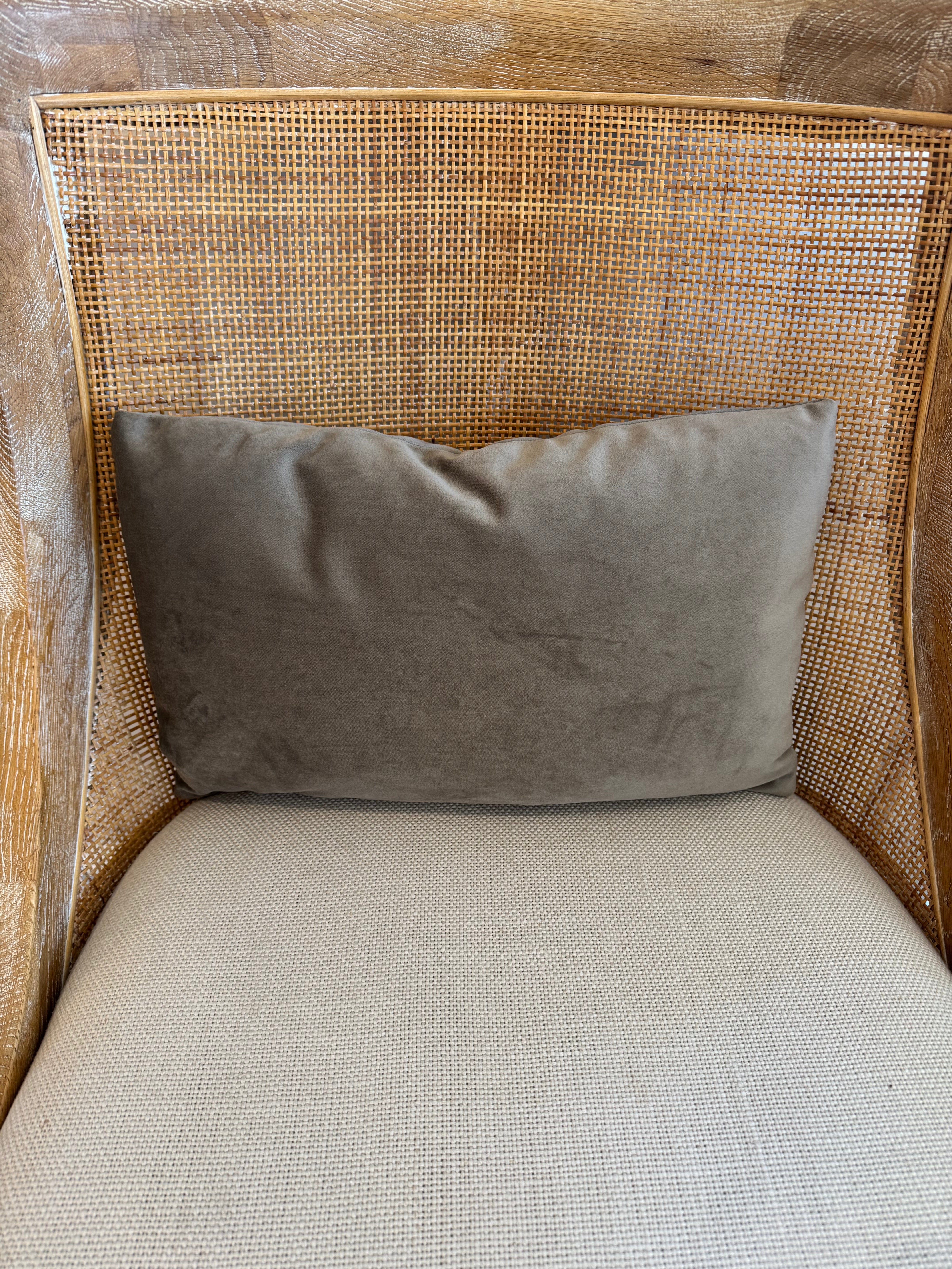 Velvet Kidney Pillow