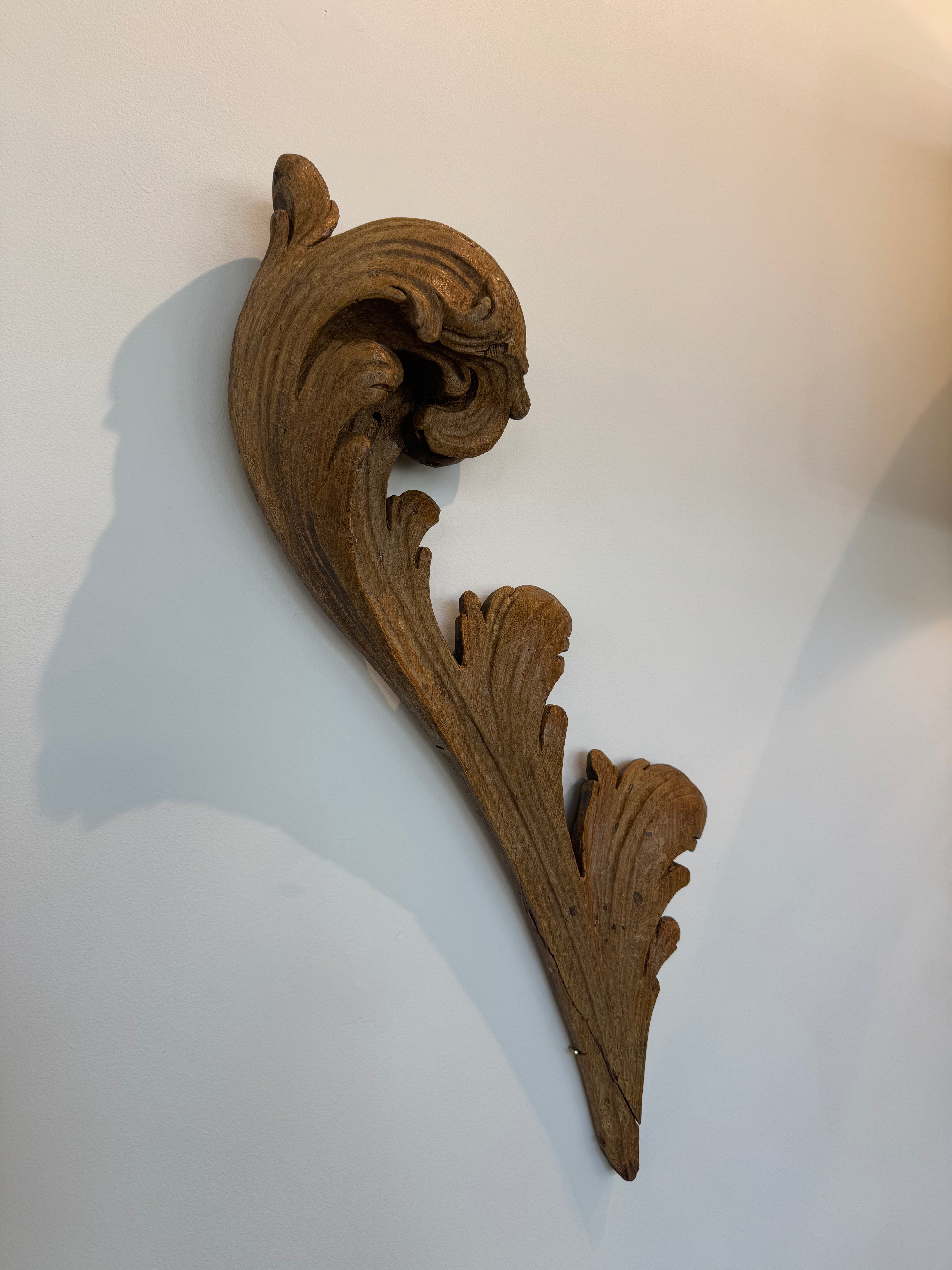 Antique Leaf Fragments