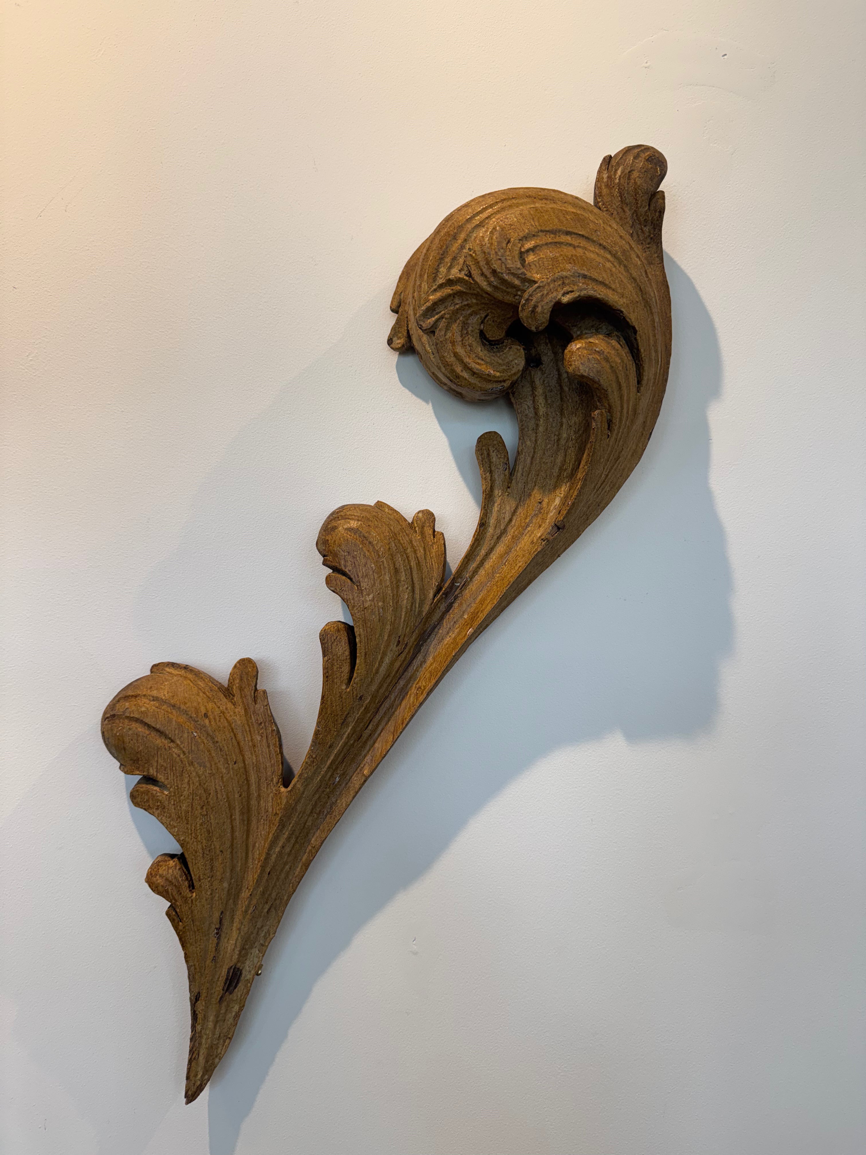 Antique Leaf Fragments