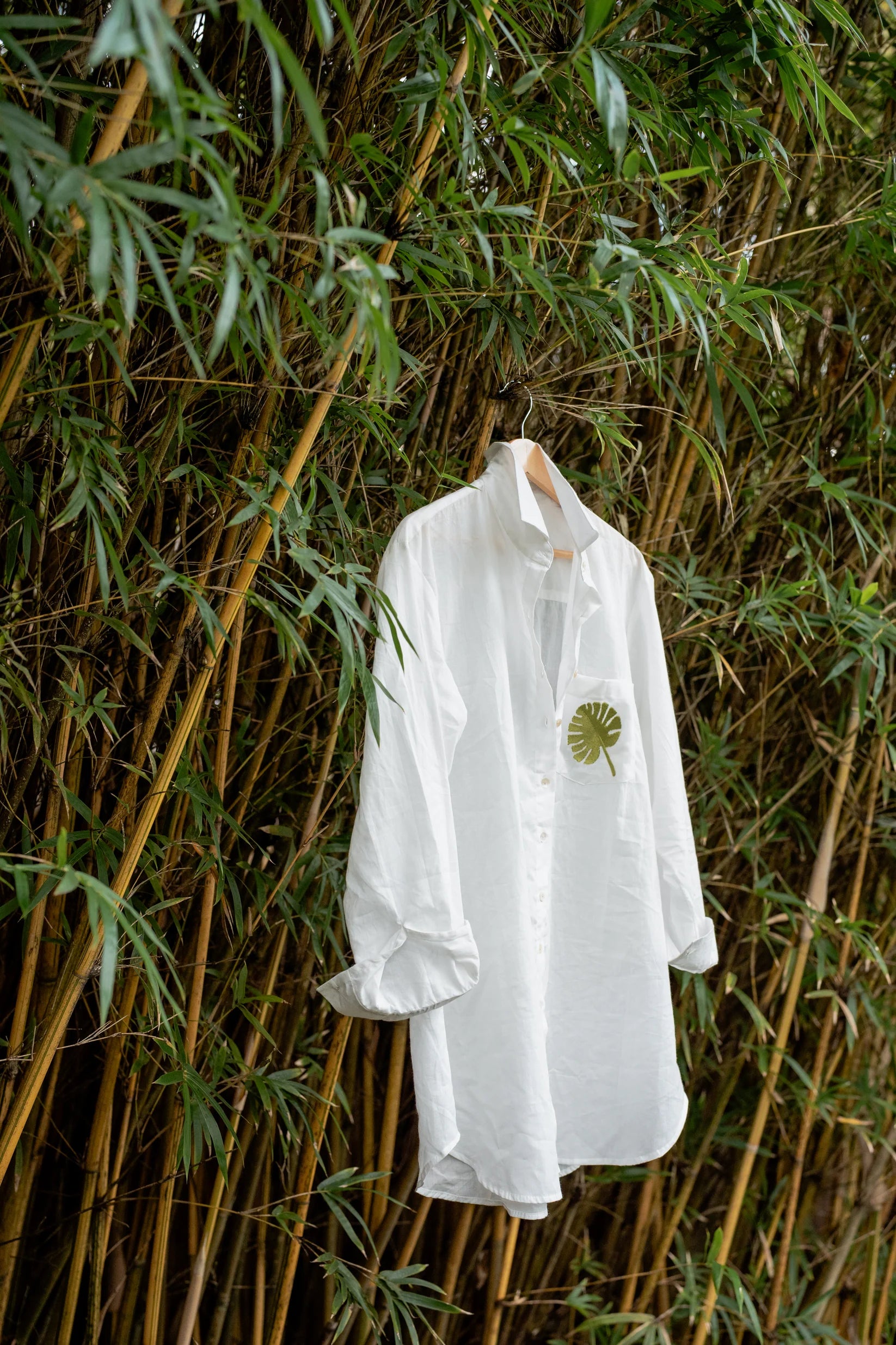 New Kathy Button Down