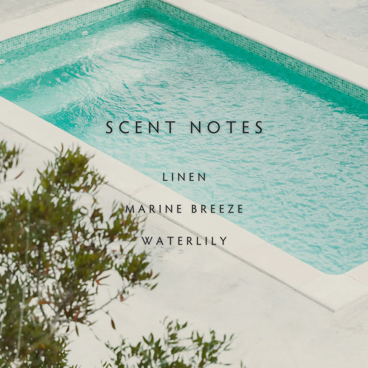 Poolside Large 2 Wick Candle