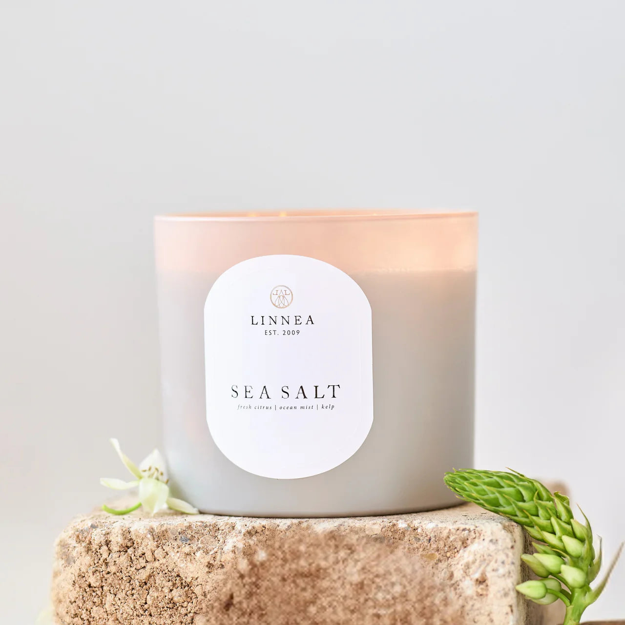 Sea Salt Grande 3 Wick Candle