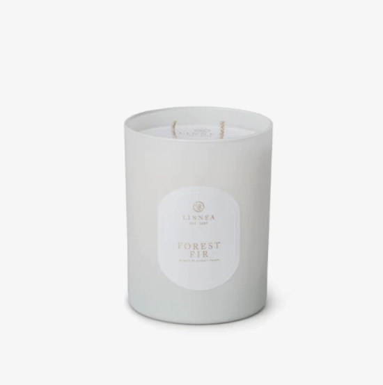 Forest Fir Candle