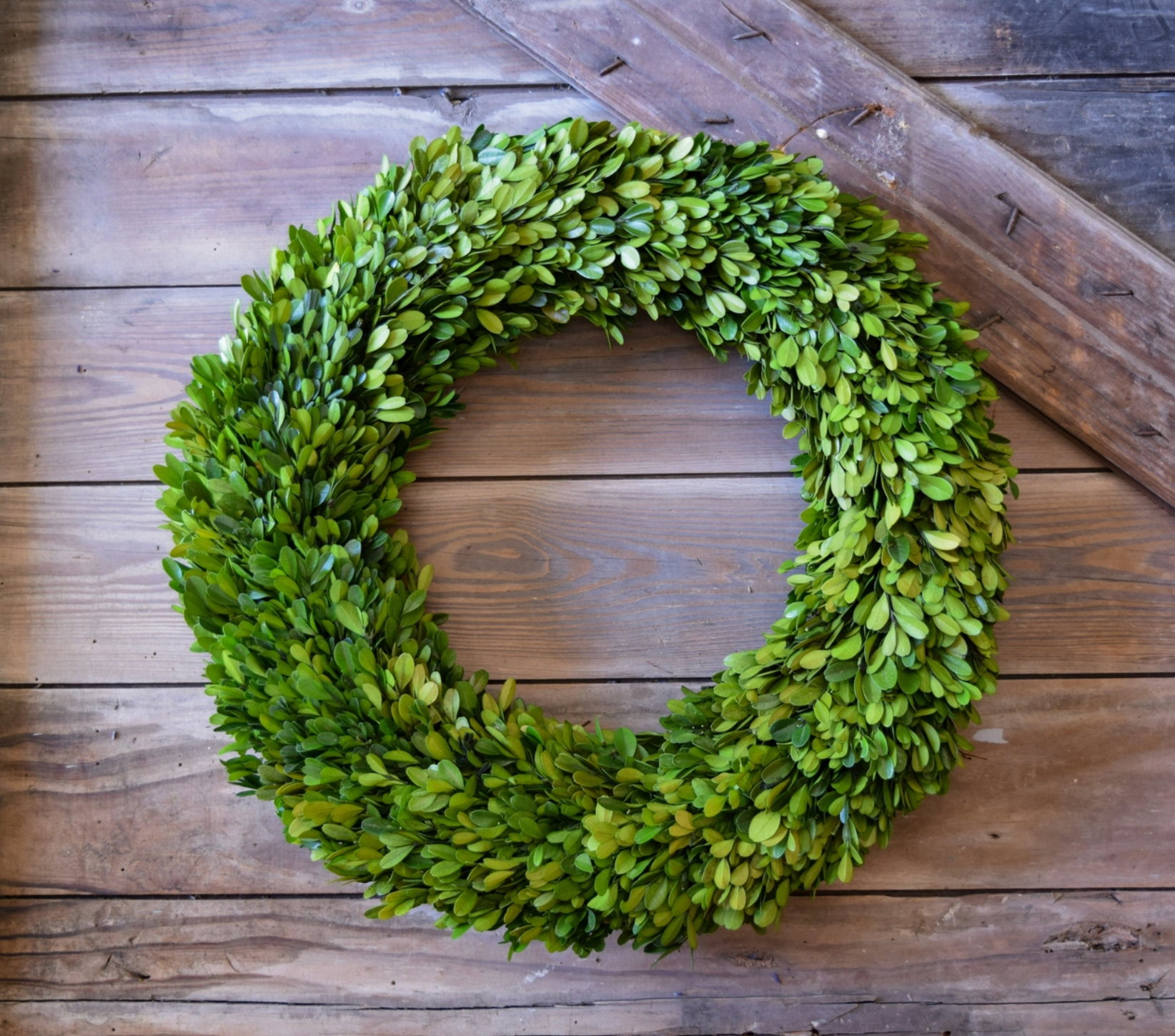 Preserved Boxwood Country Manor Wreath - 20 Inch