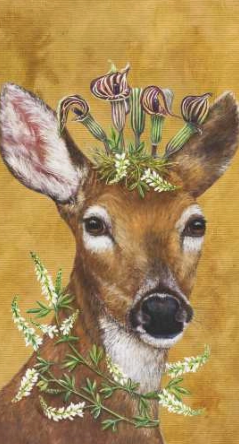 Woodland Princess Guest Towel