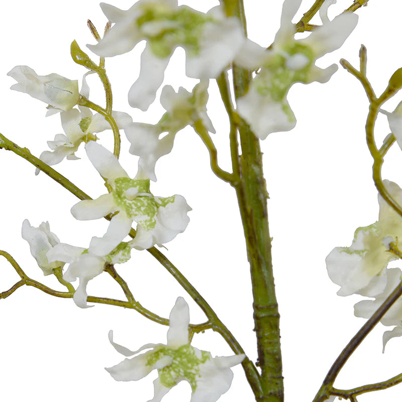 Faux Brassia Spider Orchid Stem