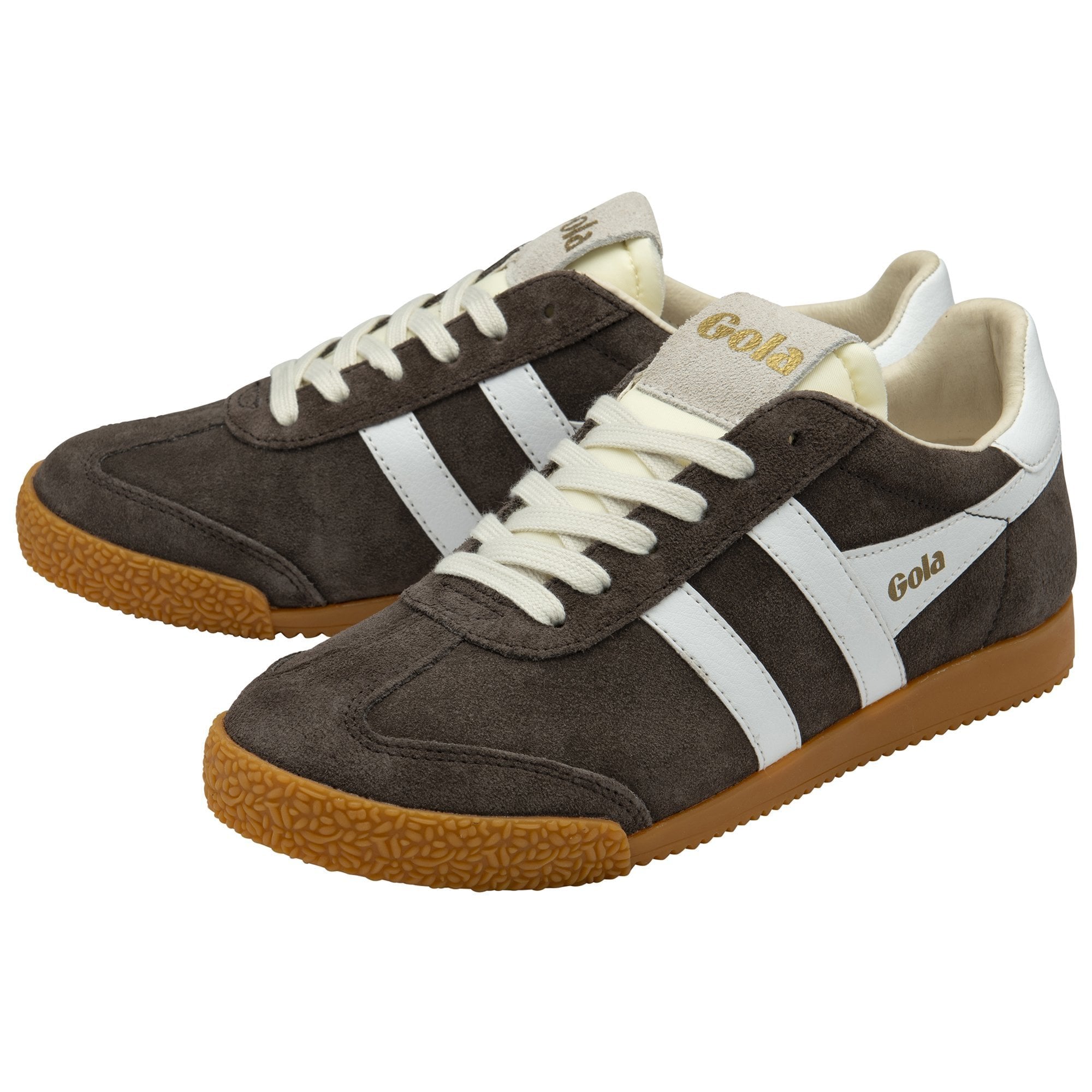 Elan Trainer