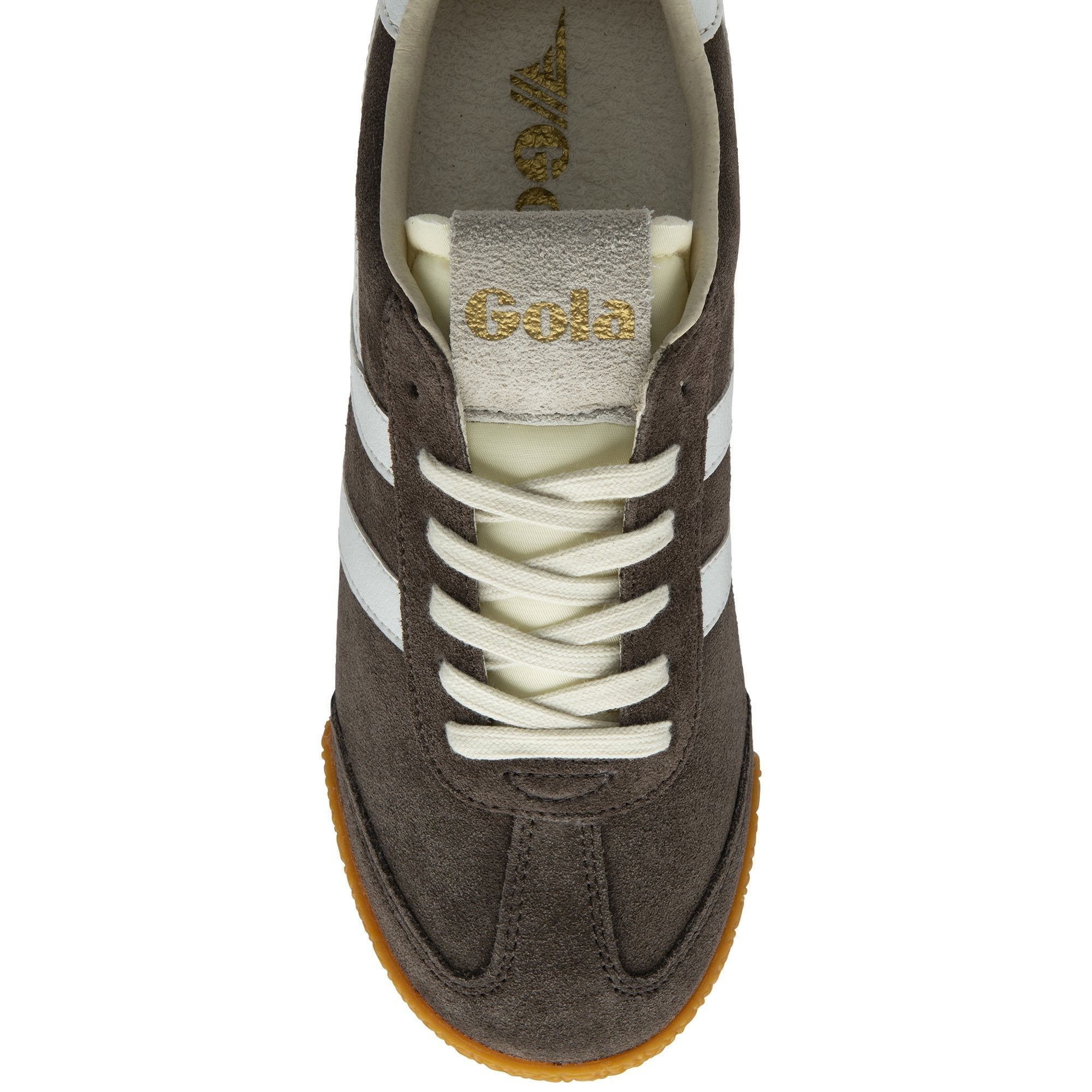 Elan Trainer