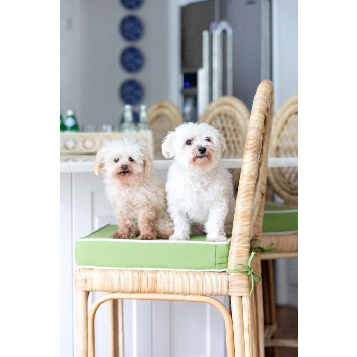Louis XVI Trellis Rattan Counter Stool