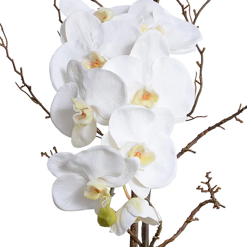 Faux White Phalaenopsis Orchid with Curly Willow in White Pot