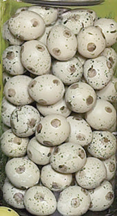 1 Inch Tan Speckled Eggs
