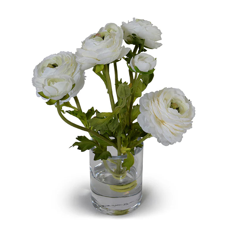 White Ranunculus in Glass Cylinder