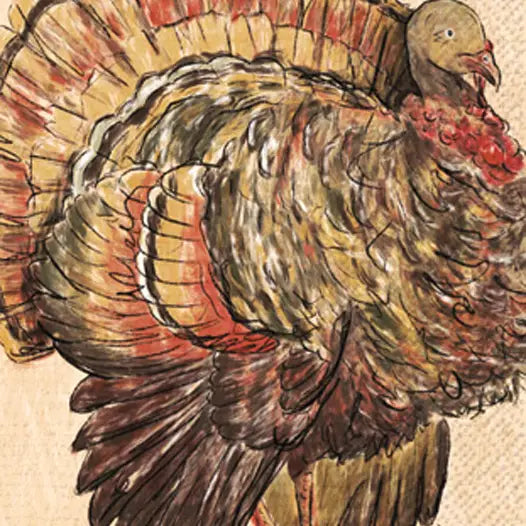 Painterly Turkey Guest Towels