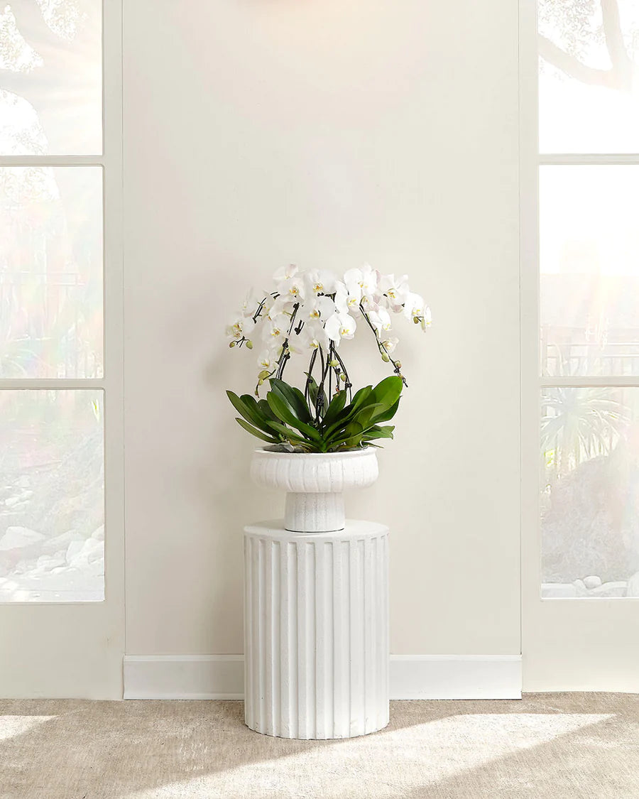 Fluted Side Table