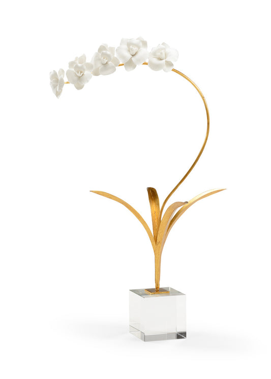 Orchid In Stand