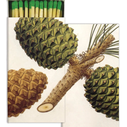 Pinecones Match Box