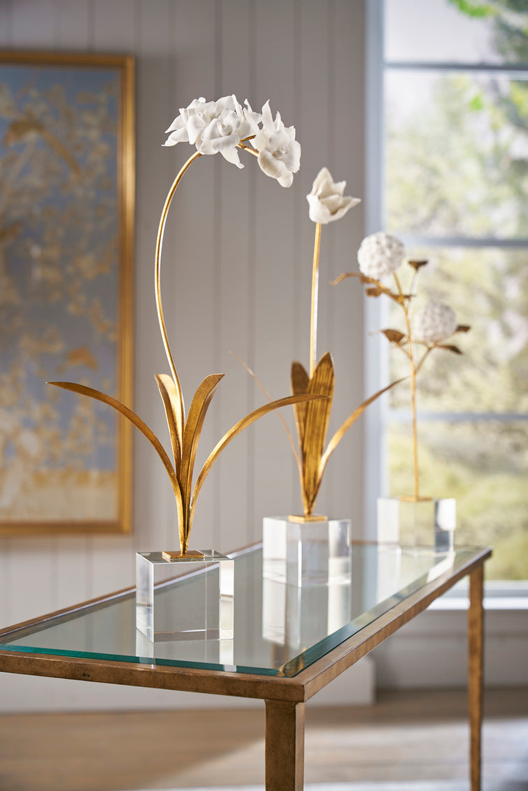 Orchid In Stand