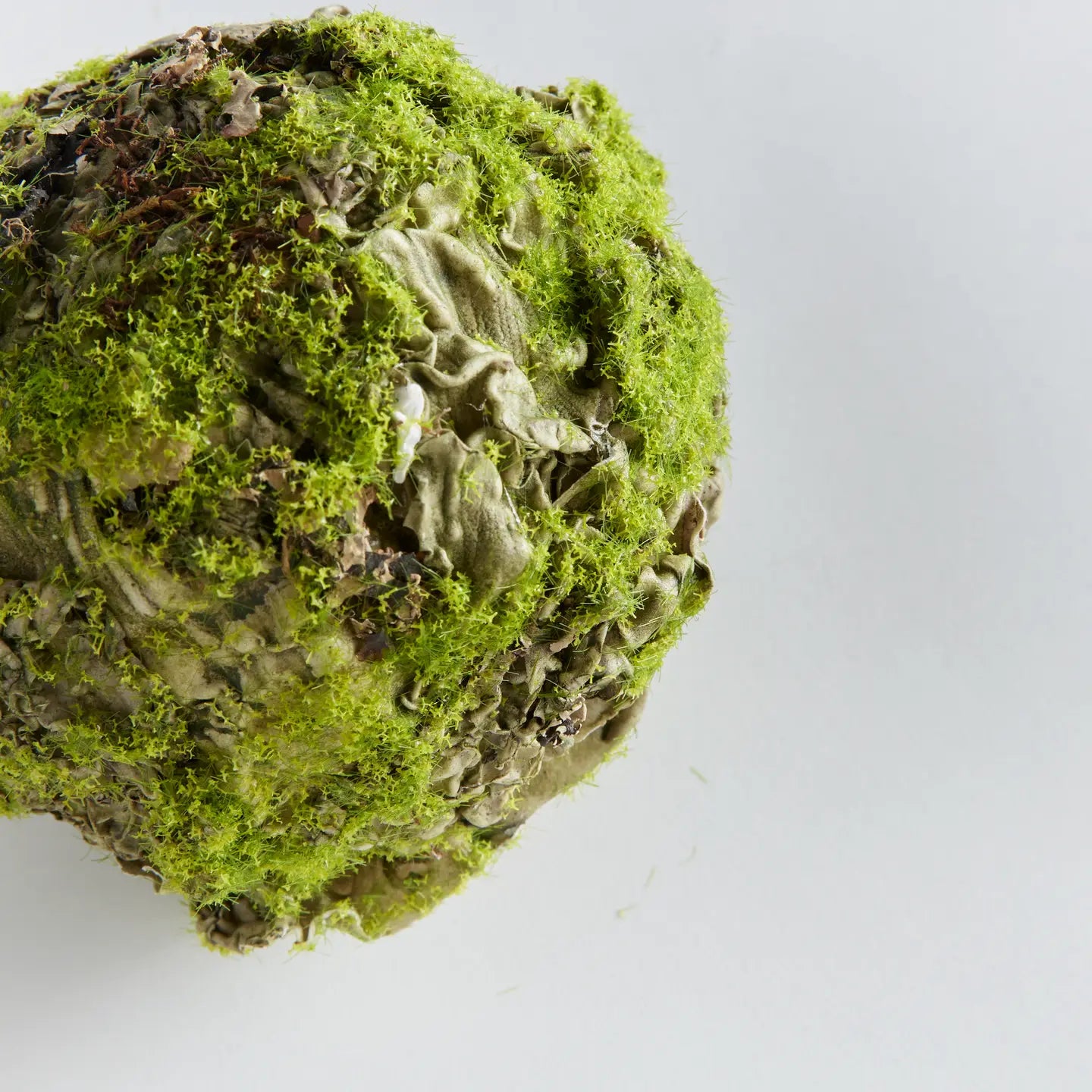 Mossy Lichen Orb