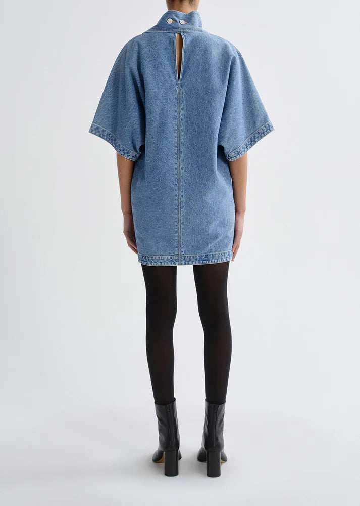 Kembra Dress in Magnify