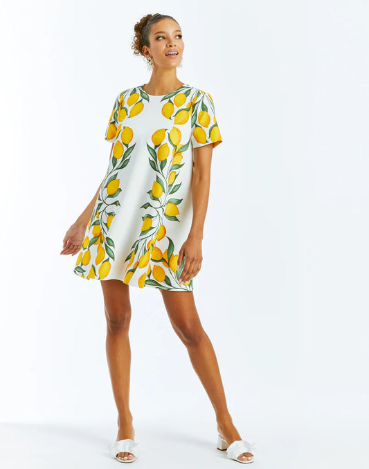 Cecily Reversible Mini Dress