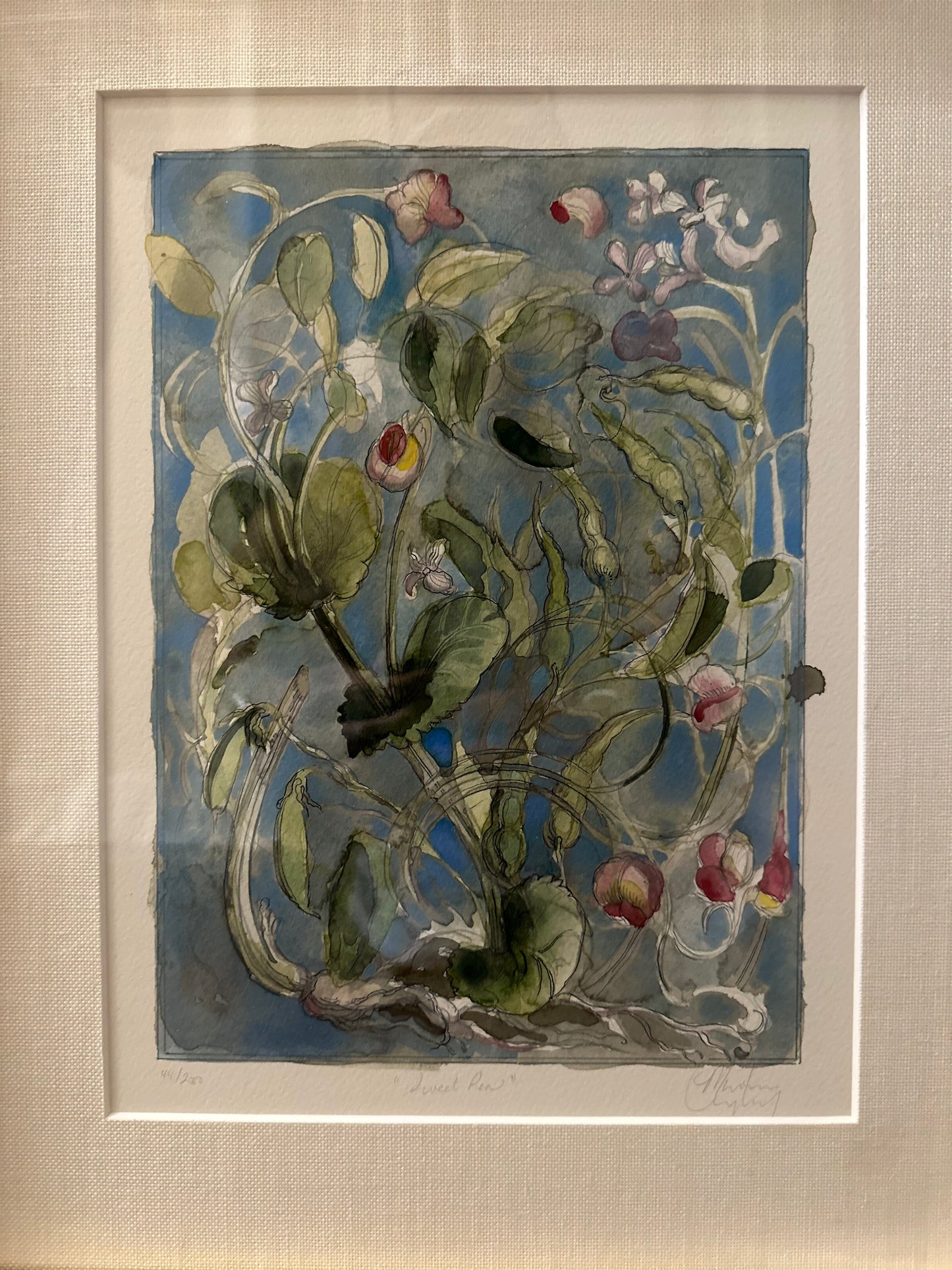 Mariana Langley Original Botanical Art