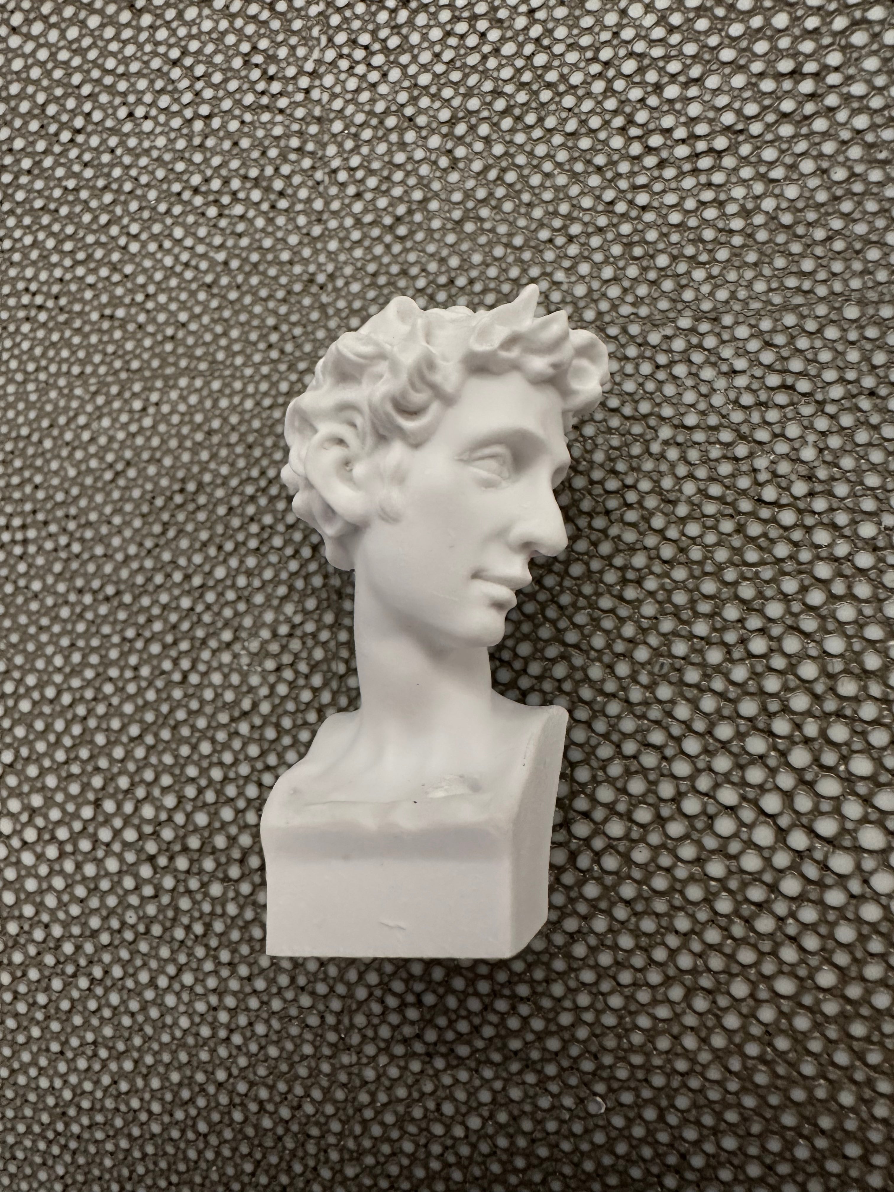Mini Plaster Busts