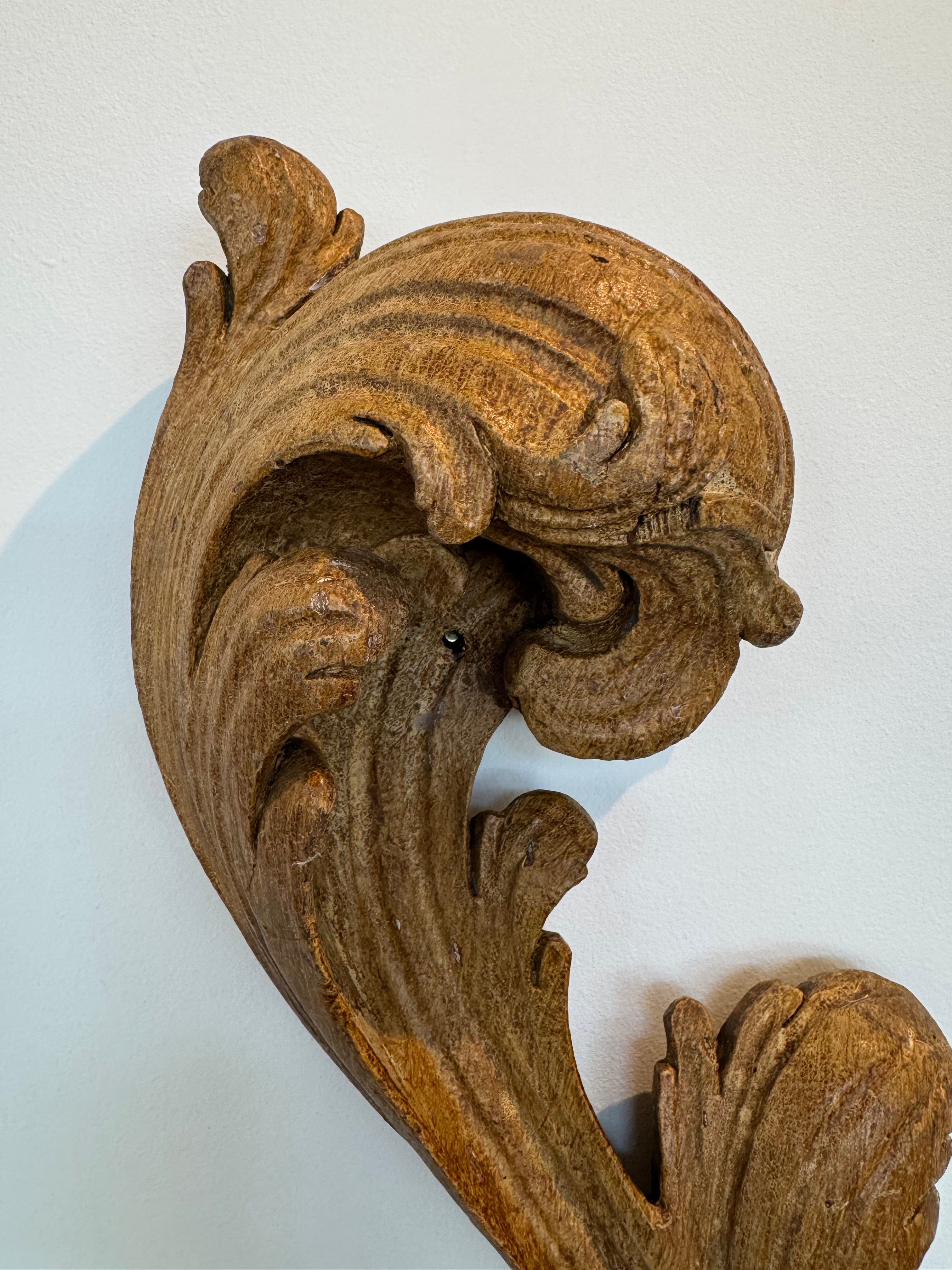 Antique Leaf Fragments