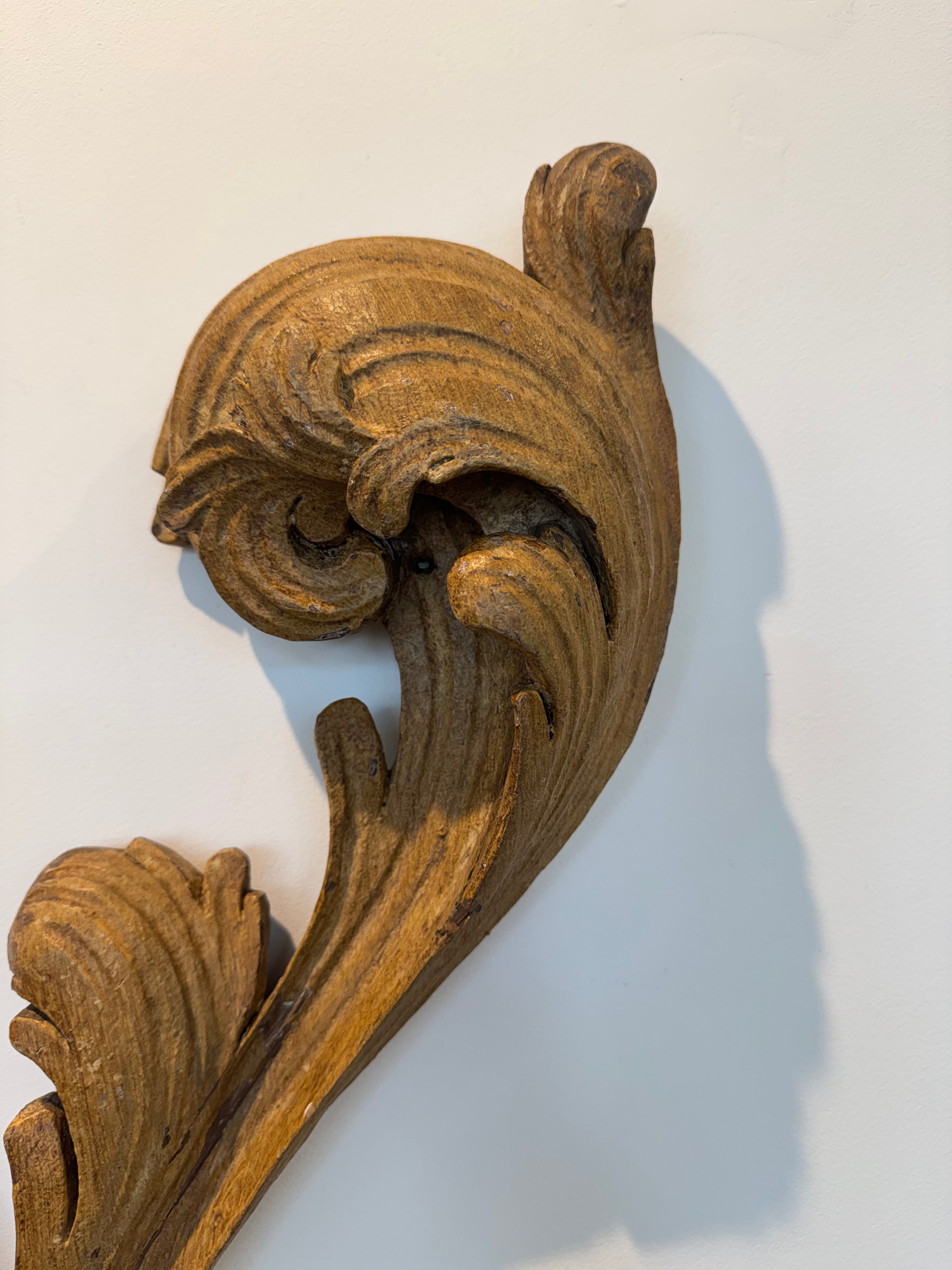 Antique Leaf Fragments