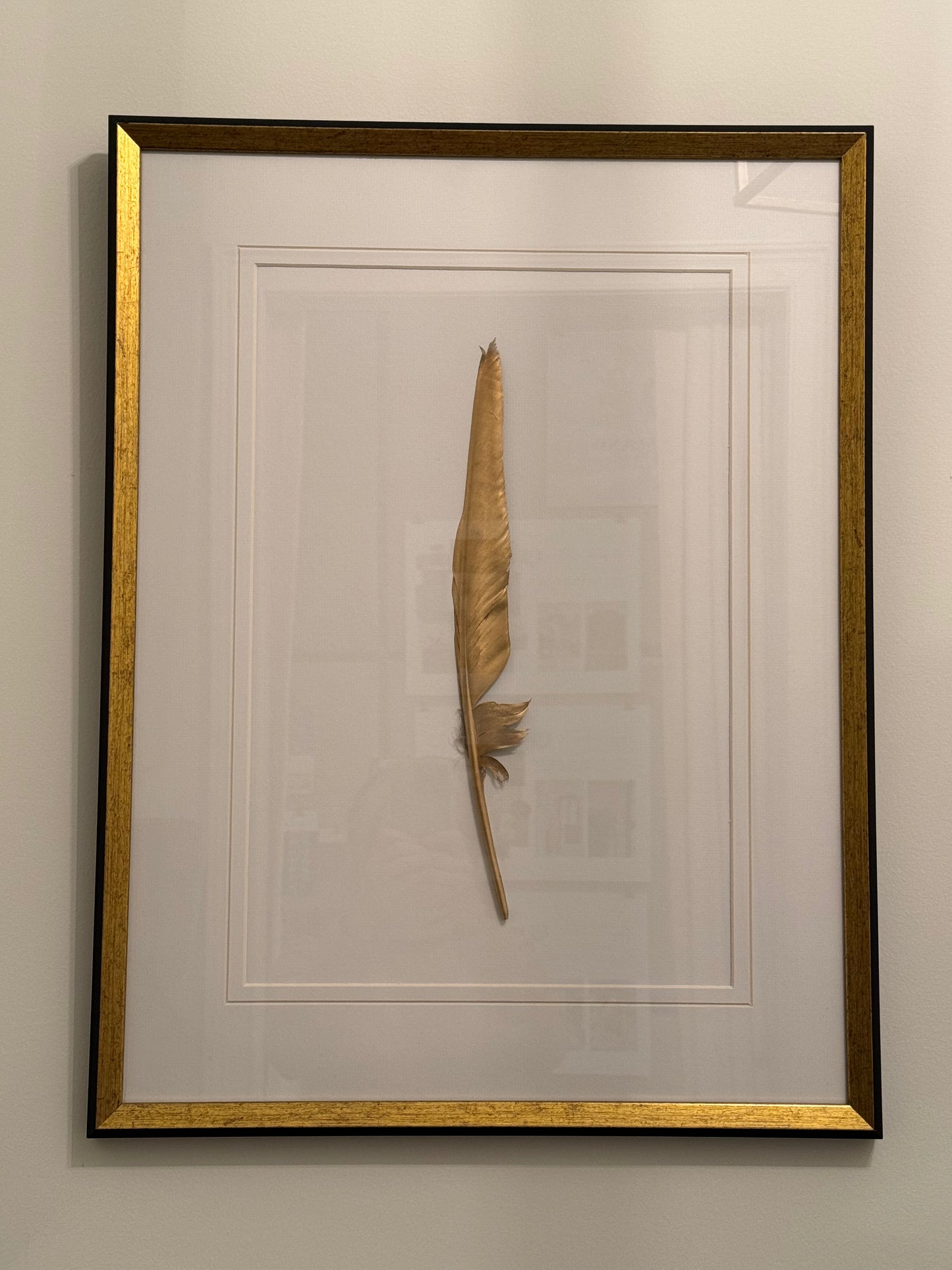 Extra Large Framed Single Feather