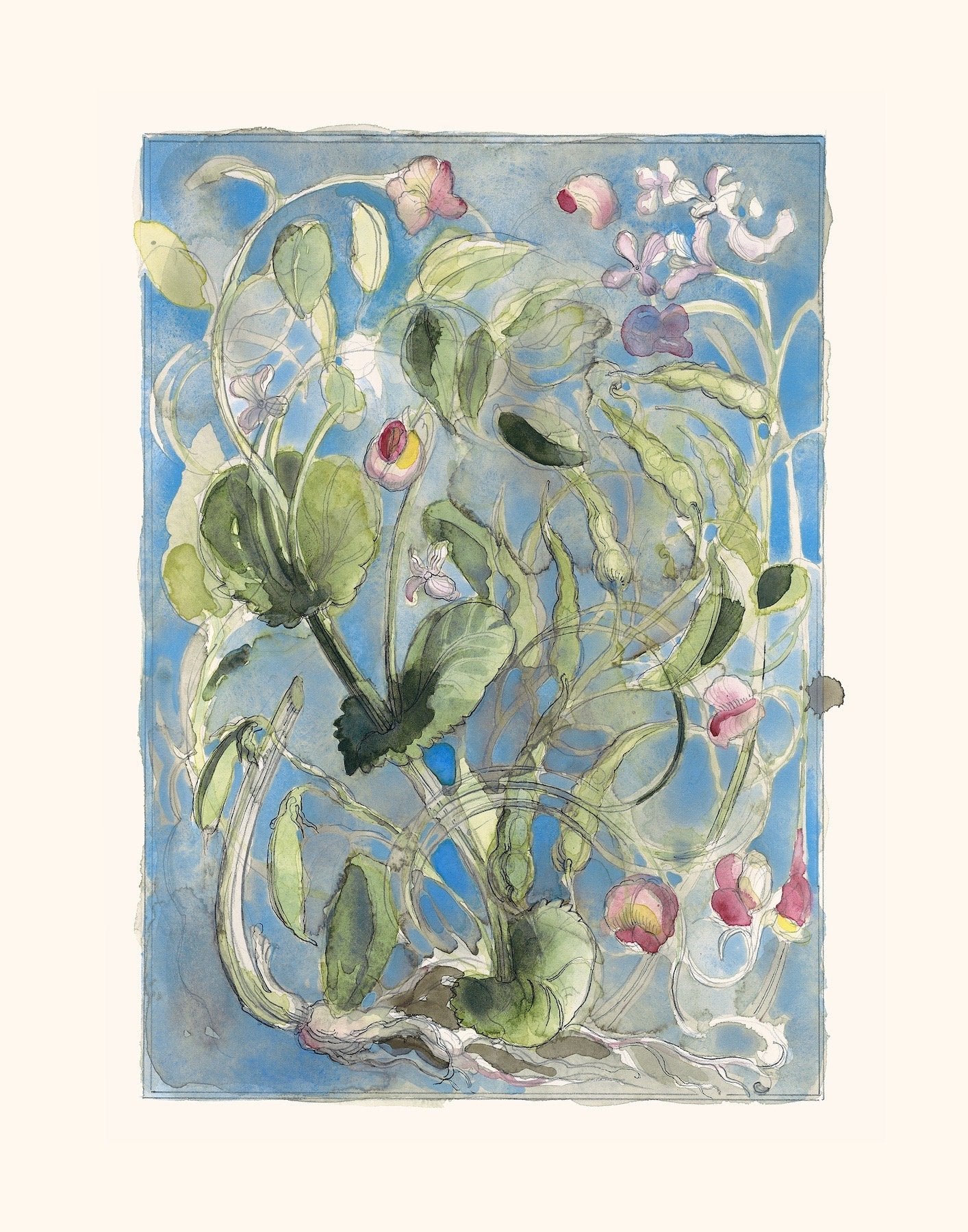 Mariana Langley Original Botanical Art