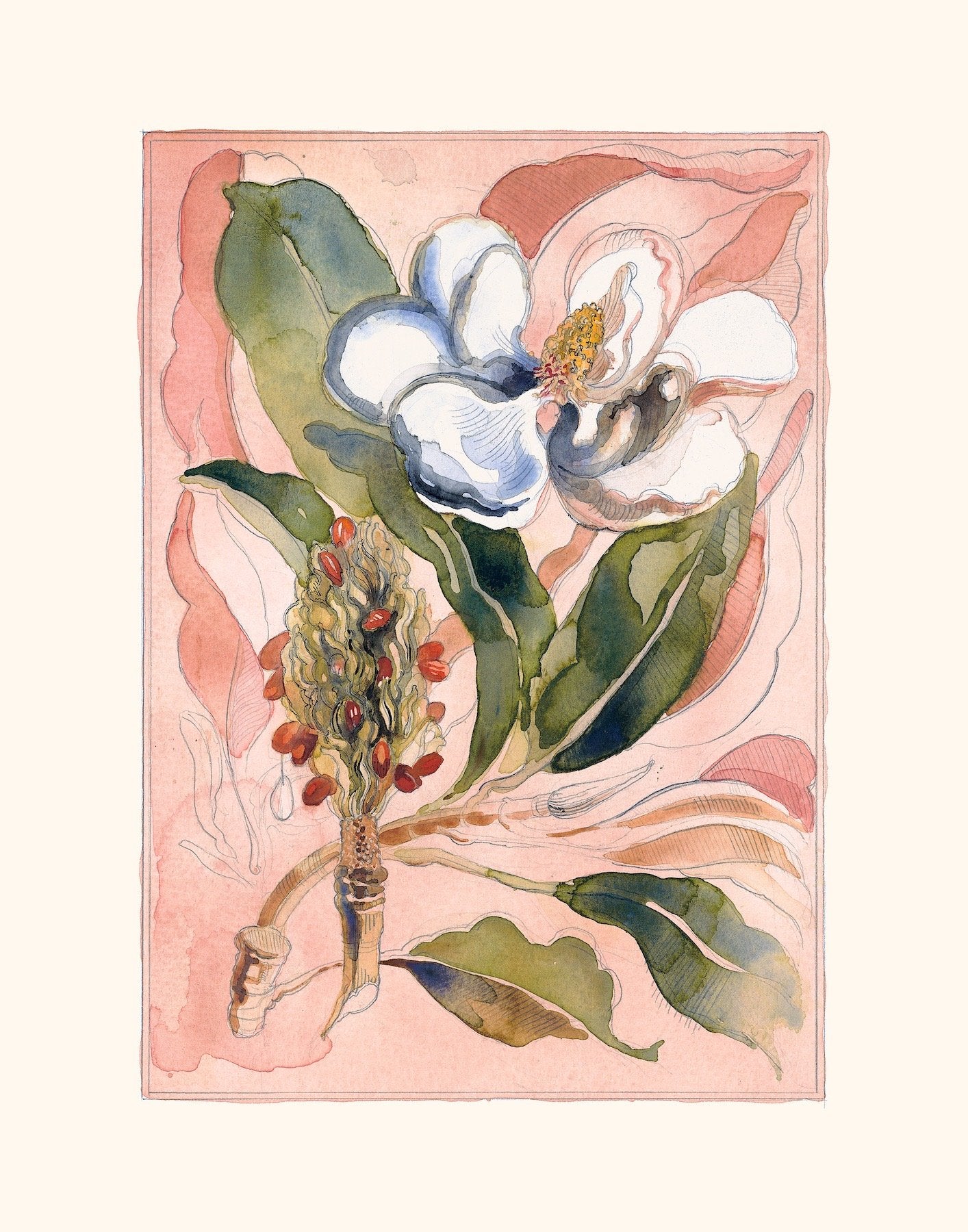 Mariana Langley Original Botanical Art