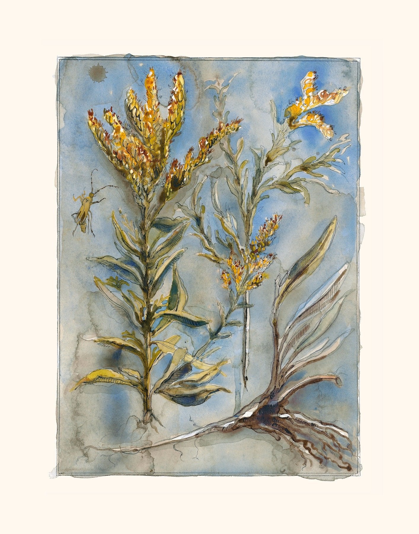 Mariana Langley Original Botanical Art