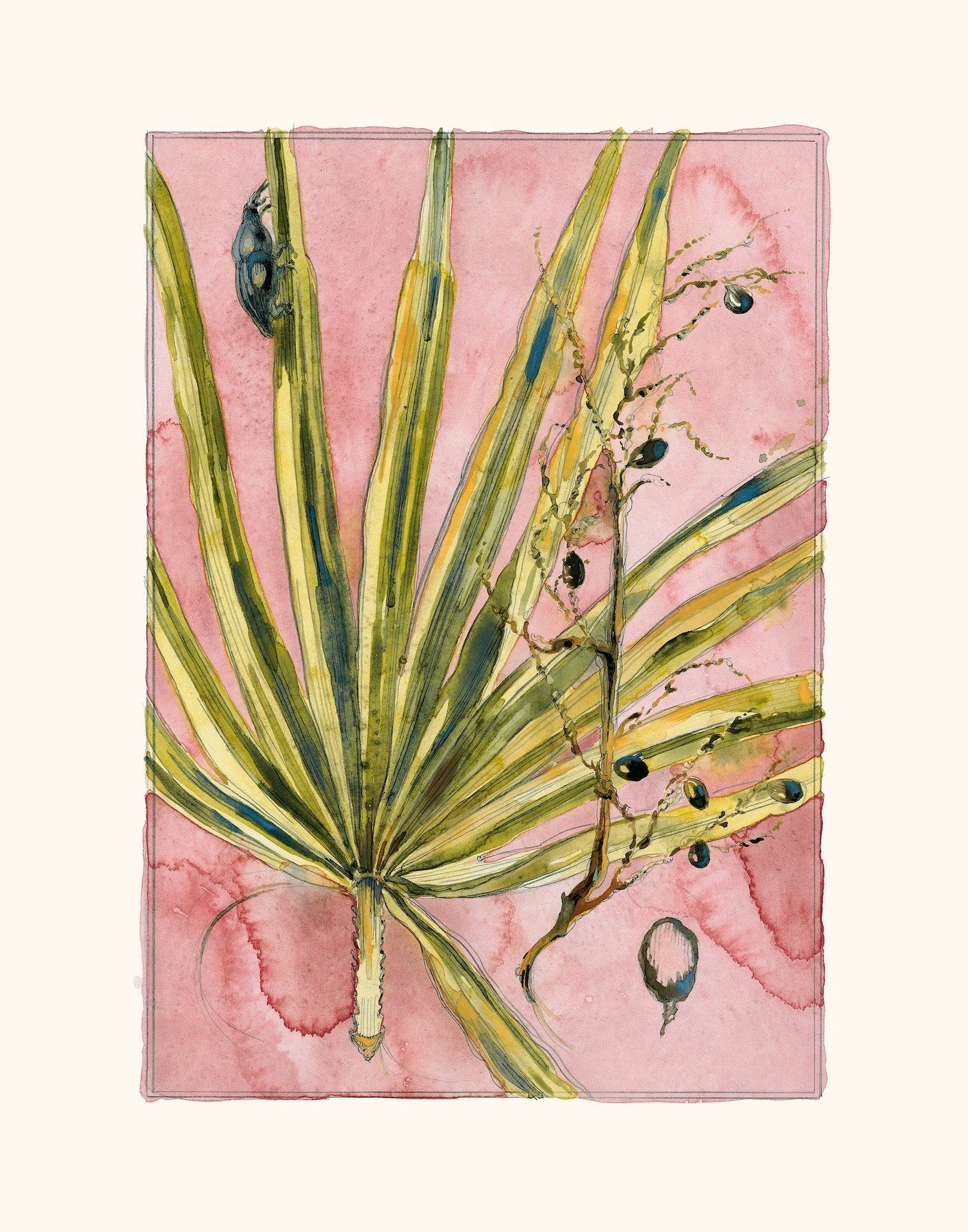 Mariana Langley Original Botanical Art