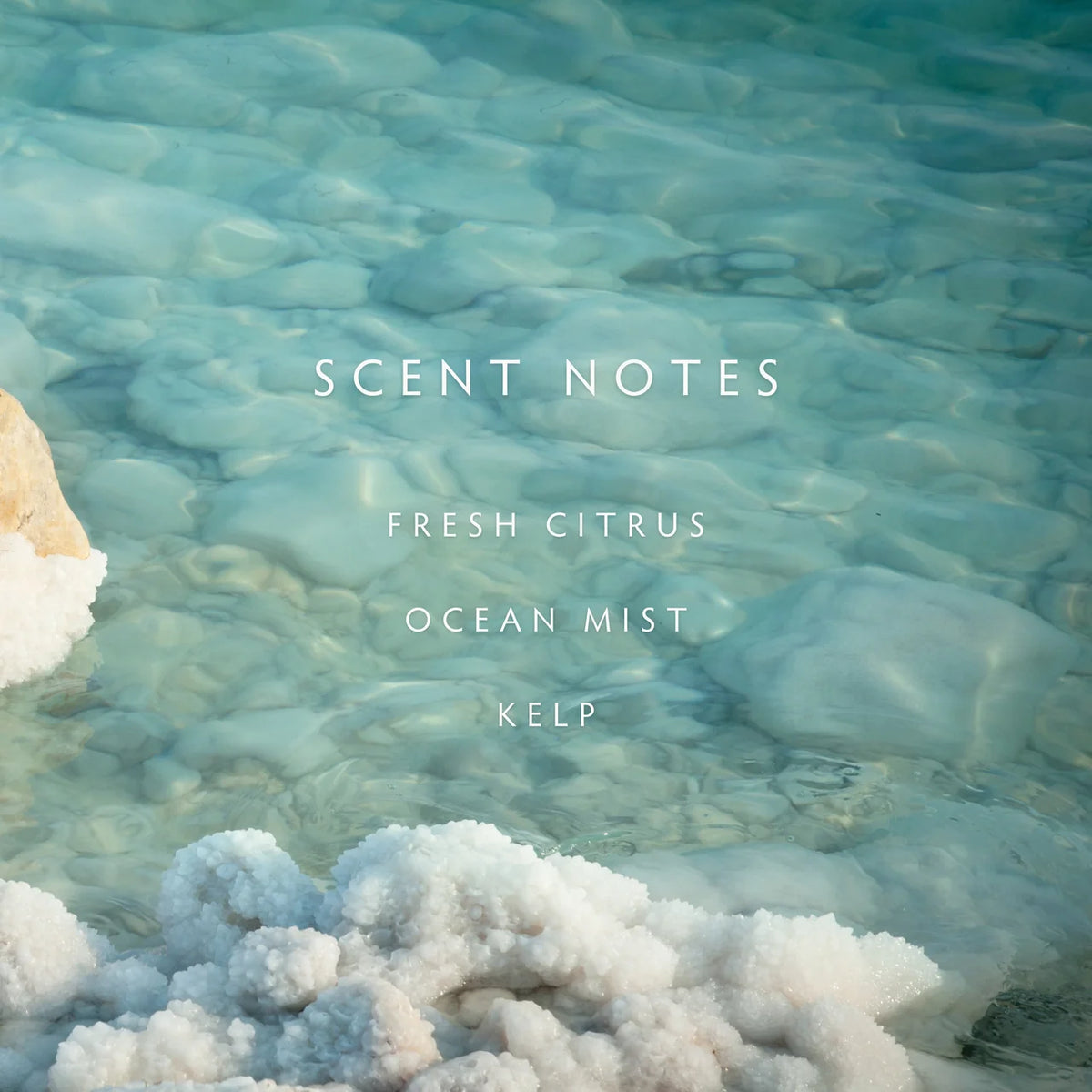 Sea Salt Room Spray