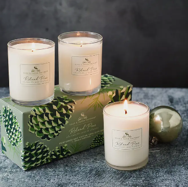 Roland Pine Soy Candle Votive Trio Gift Set