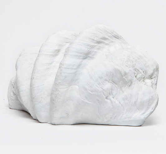 Jaqui Clamshell