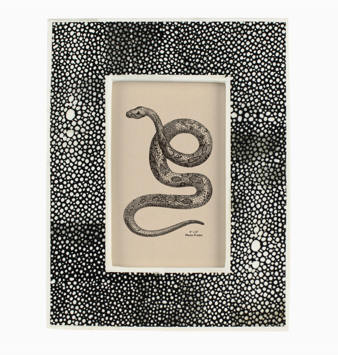 Black Chagrin Photo Frame