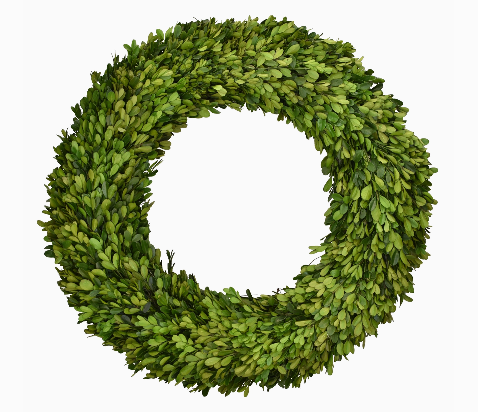 Preserved Boxwood Country Manor Wreath - 20 Inch