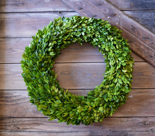 Preserved Boxwood Country Manor Wreath - 20 Inch