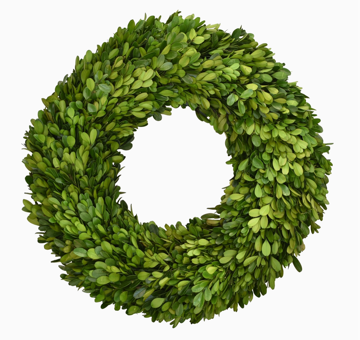 Preserved Boxwood Country Manor Wreath - 16 Inch