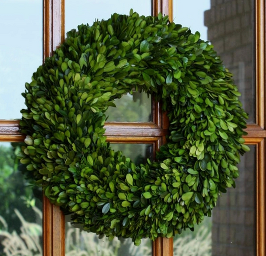 Preserved Boxwood Country Manor Wreath - 16 Inch