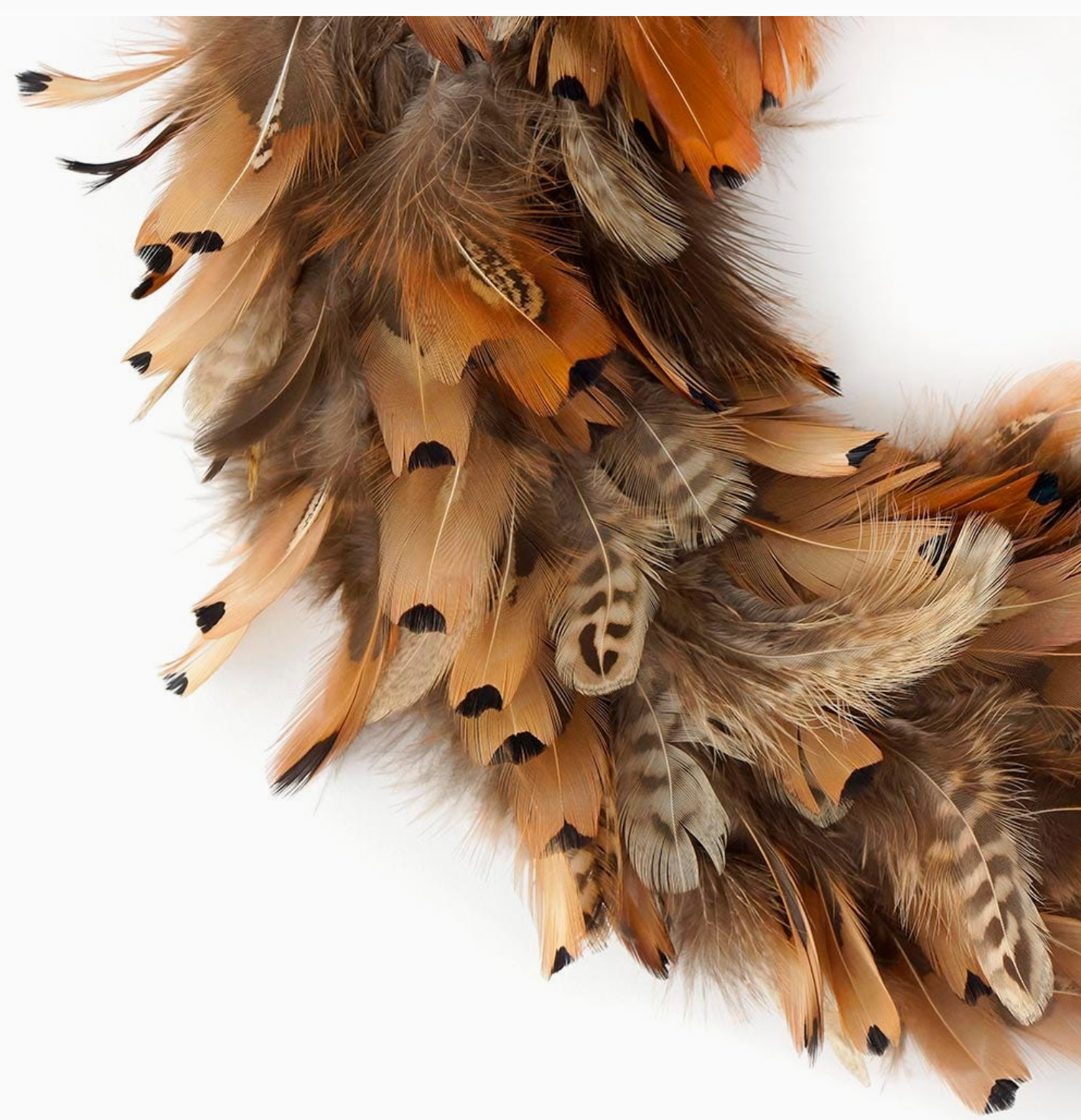 Pheasant Feather Wreath