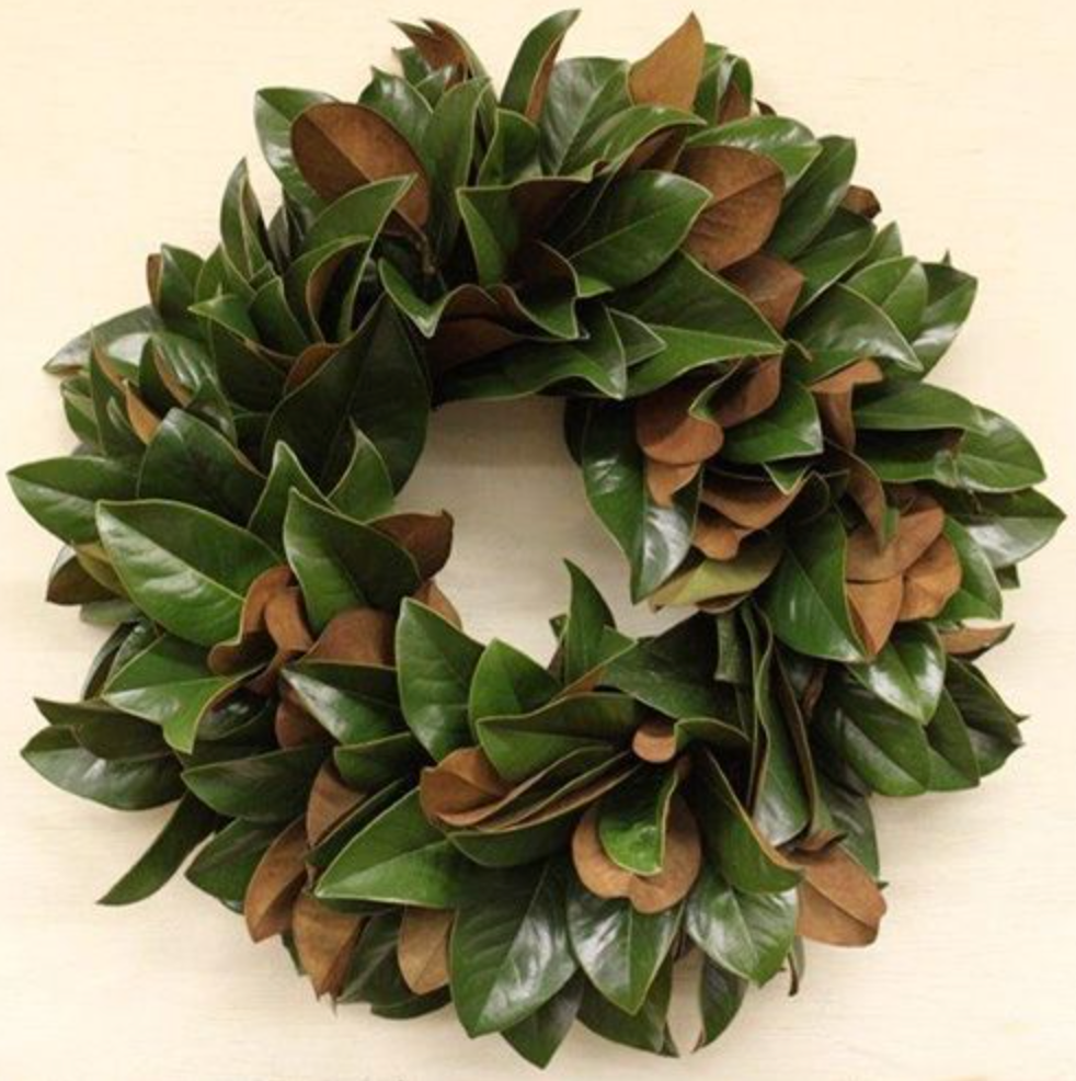 Lucknow Southern Fresh Magnolia Wreath