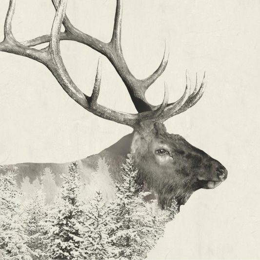 Majestic Elk Beverage Napkin