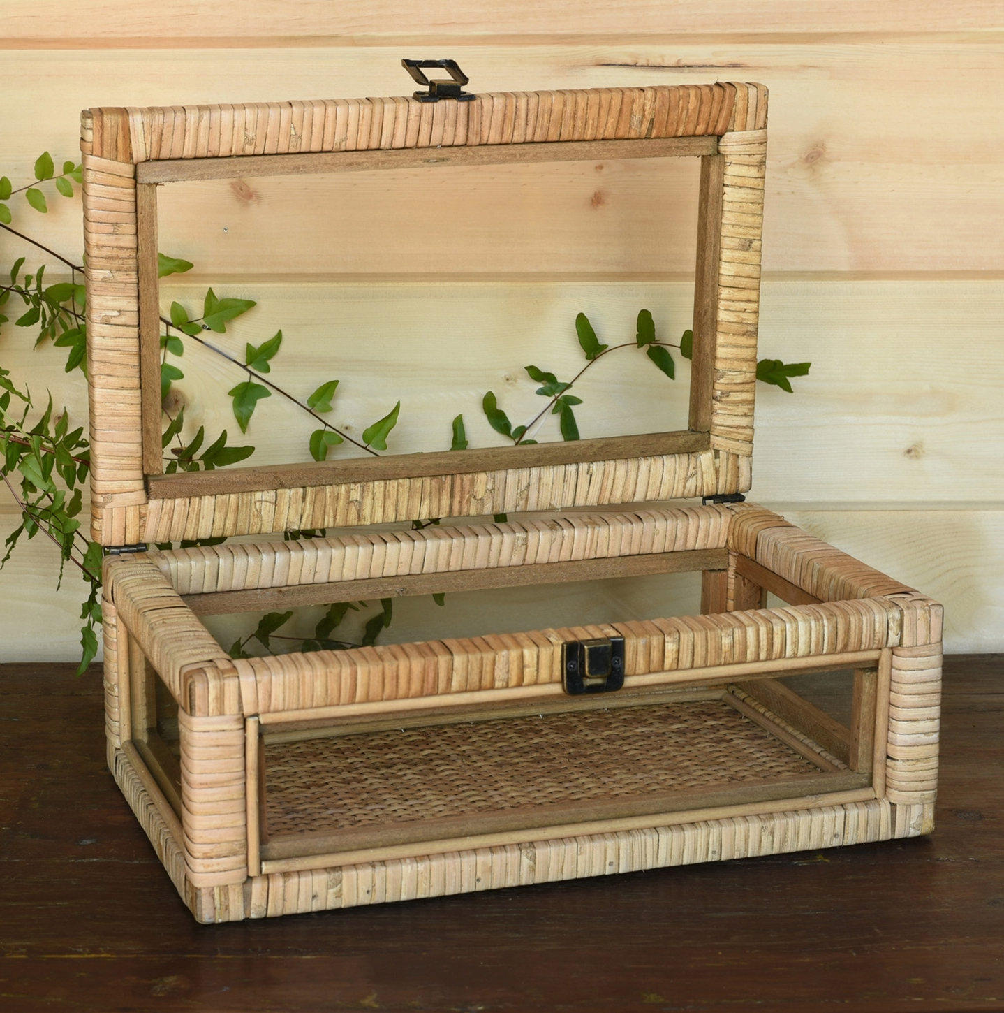 Cayman Rattan and Glass Rectangle Case