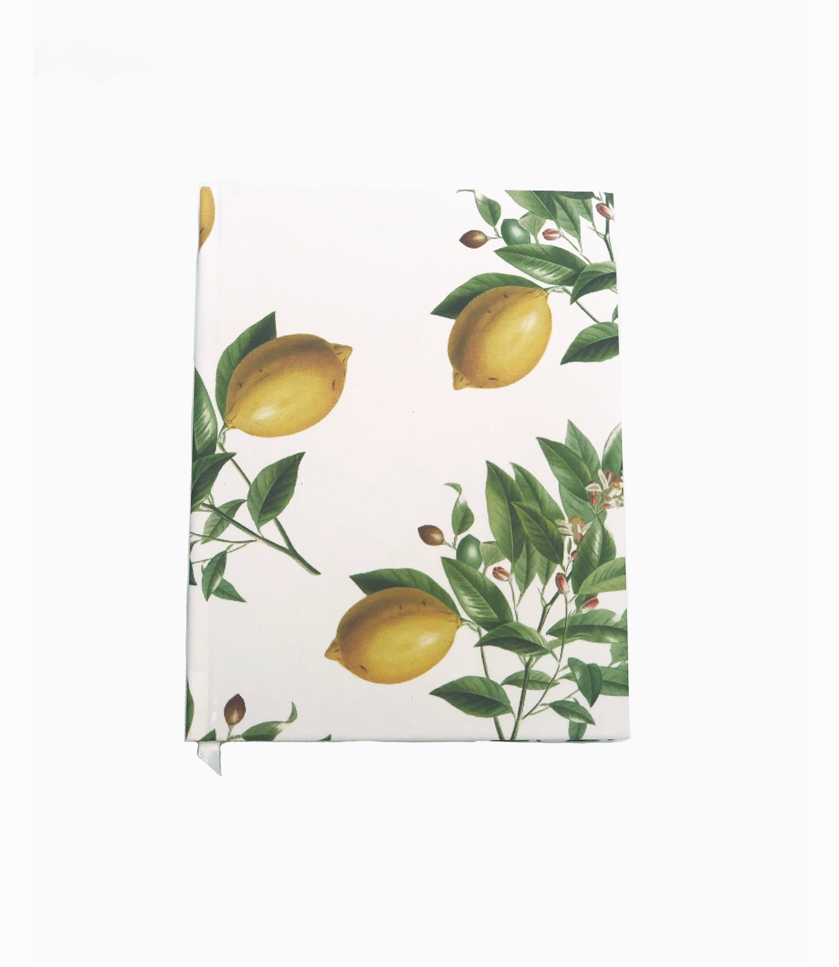 Vintage Lemon Journal