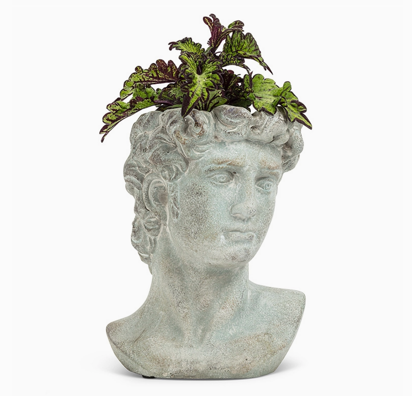 David Head Planter